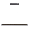 Schöner Wohnen 11316-18 - Dimbare LED-hanglamp aan kabel LENA LED/32W/230V 105 cm zwart