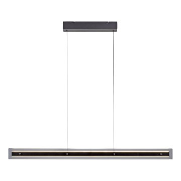 Schöner Wohnen 11316-18 - Dimbare LED-hanglamp aan kabel LENA LED/32W/230V 105 cm zwart