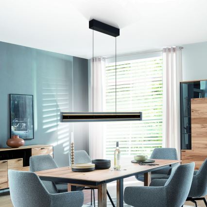 Schöner Wohnen 11316-18 - Suspension LED dimmable sur câble LENA LED/32W/230V noir