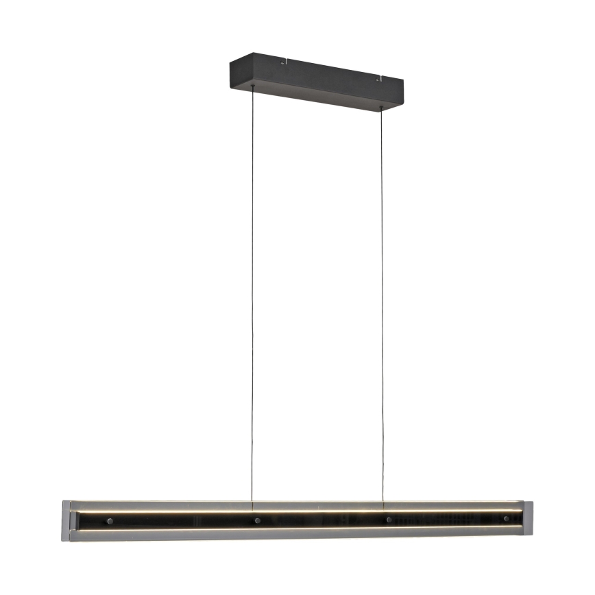 Schöner Wohnen 11316-18 - Suspension LED dimmable sur câble LENA LED/32W/230V noir