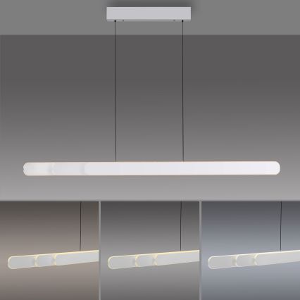 Schöner Wohnen 12577-16 - Suspension LED dimmable sur câble ADRIANA ROUND 2xLED/24W/230V 2700/3000/3500/4000/5000K blanc