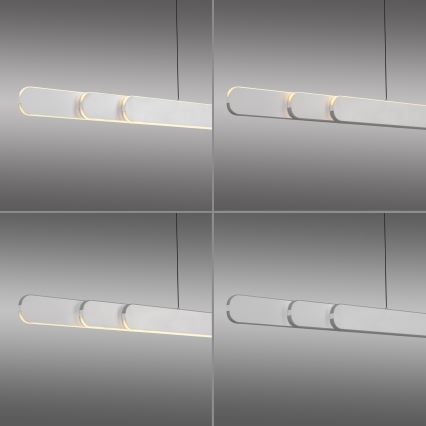 Schöner Wohnen 12577-16 - Suspension LED dimmable sur câble ADRIANA ROUND 2xLED/24W/230V 2700/3000/3500/4000/5000K 160 cm blanc