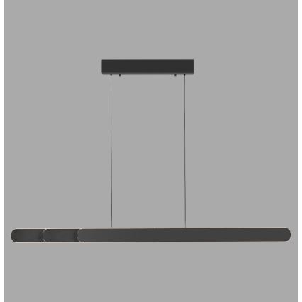 Schöner Wohnen 12577-18 - Dimbare LED-hanglamp met kabel ADRIANA ROUND 2xLED/24W/230V 2700/3000/3500/4000/5000K zwart