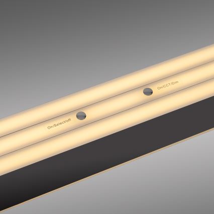 Schöner Wohnen 12577-18 - Dimbare LED-hanglamp met kabel ADRIANA ROUND 2xLED/24W/230V 2700/3000/3500/4000/5000K zwart