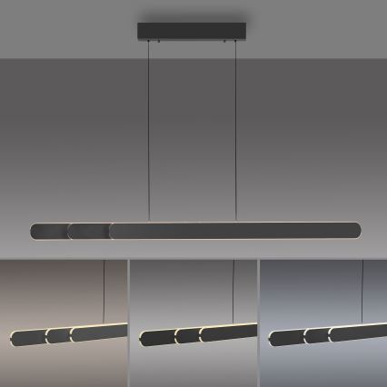 Schöner Wohnen 12577-18 - Suspension LED dimmable sur câble ADRIANA ROUND 2xLED/24W/230V 2700/3000/3500/4000/5000K 160 cm noir