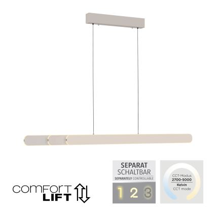Schöner Wohnen 12577-39 - Dimbare LED-hanglamp aan kabel ADRIANA ROUND 2xLED/24W/230V 2700/3000/3500/4000/5000K 160 cm grijs
