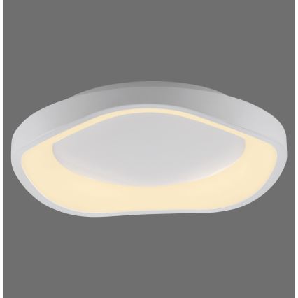 Schöner Wohnen 14233-16 - dimbare LED-plafondlamp MONTA LED/21W/230V Ø 40 cm wit
