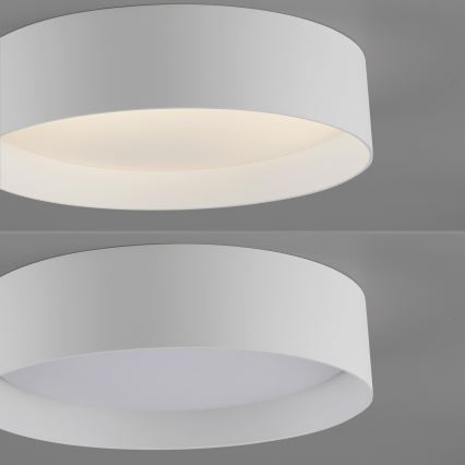 Schöner Wohnen 14593-16 - Dimbare LED-plafondlamp TAVOLI LED/10W/230V 2700-6500K Ø 28,5 cm wit + afstandsbediening