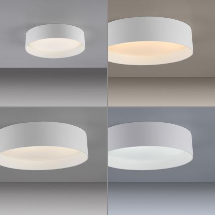 Schöner Wohnen 14593-16 - Plafonnier LED dimmable TAVOLI LED/10W/230V 2700-6500K Ø 28,5 cm blanc + télécommande