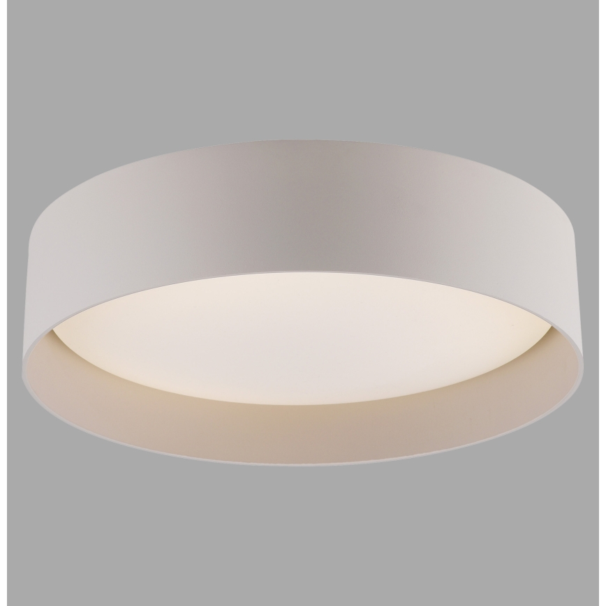 Schöner Wohnen 14593-39 - LED dimbare plafondlamp TAVOLI LED/10W/230V 2700-6500K Ø 28,5 cm grijs + afstandsbediening