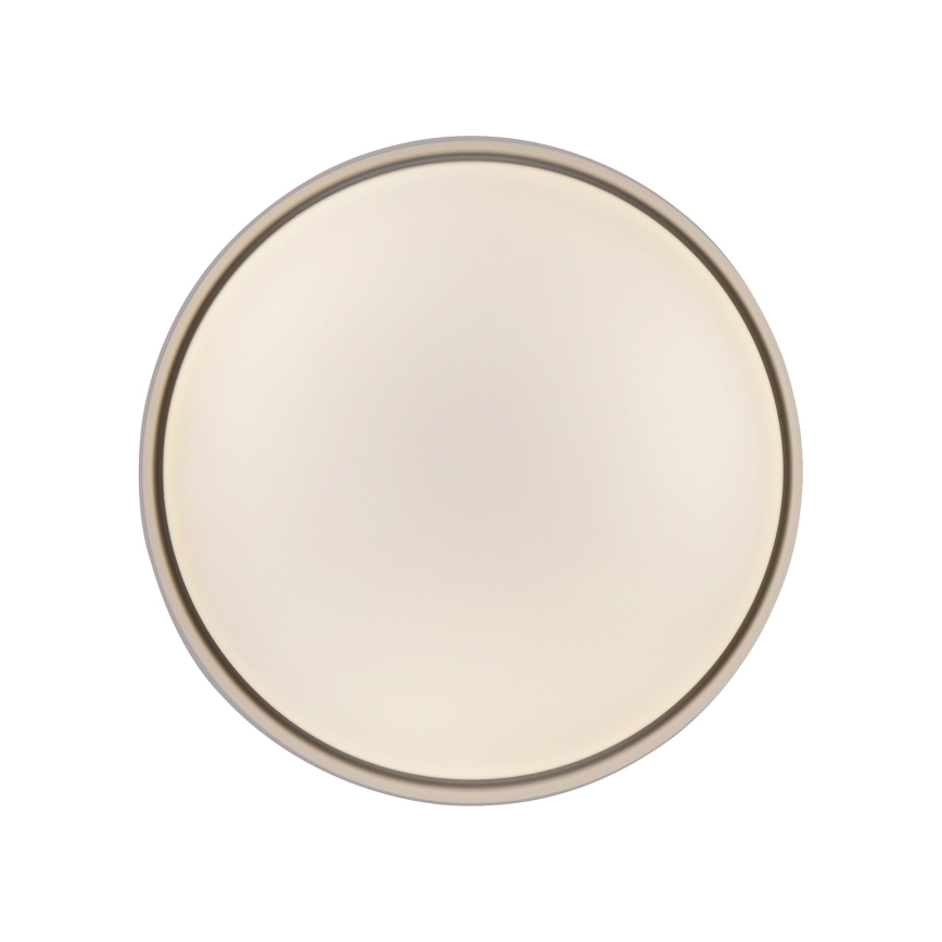 Schöner Wohnen 14593-39 - LED dimbare plafondlamp TAVOLI LED/10W/230V 2700-6500K Ø 28,5 cm grijs + afstandsbediening