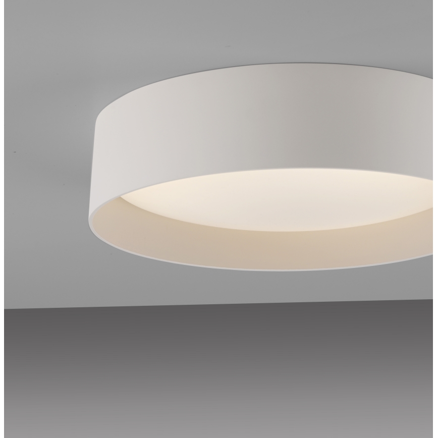 Schöner Wohnen 14593-39 - Plafonnier LED dimmable TAVOLI LED/10W/230V 2700-6500K Ø 28,5 cm gris + télécommande