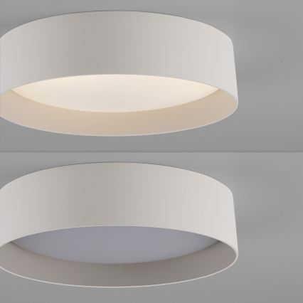 Schöner Wohnen 14593-39 - Plafonnier LED dimmable TAVOLI LED/10W/230V 2700-6500K Ø 28,5 cm gris + télécommande