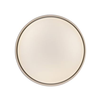 Schöner Wohnen 14593-39 - Plafonnier LED dimmable TAVOLI LED/10W/230V 2700-6500K Ø 28,5 cm gris + télécommande