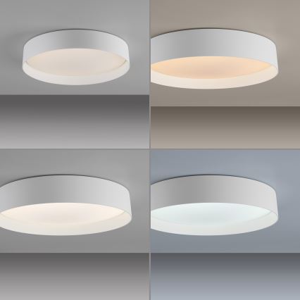 Schöner Wohnen 14594-16 - LED-dimbare plafondlamp TAVOLI LED/20W/230V 2700-6500K Ø 39 cm wit + afstandsbediening