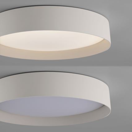 Schöner Wohnen 14594-39 - Dimbare LED-plafondlamp TAVOLI LED/20W/230V 2700-6500K Ø 39 cm grijs + afstandsbediening