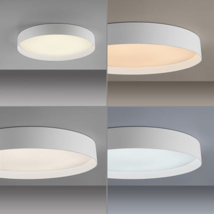 Schöner Wohnen 14595-16 - Dimbare LED-plafondlamp TAVOLI LED/34W/230V 2700-6500K Ø 49 cm wit + afstandsbediening