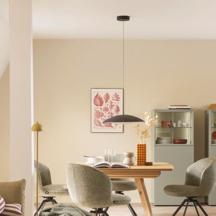 Schöner Wohnen 14606-18 - Suspension LED dimmable sur câble LENTE LED/17W/230V Ø 40 cm noire