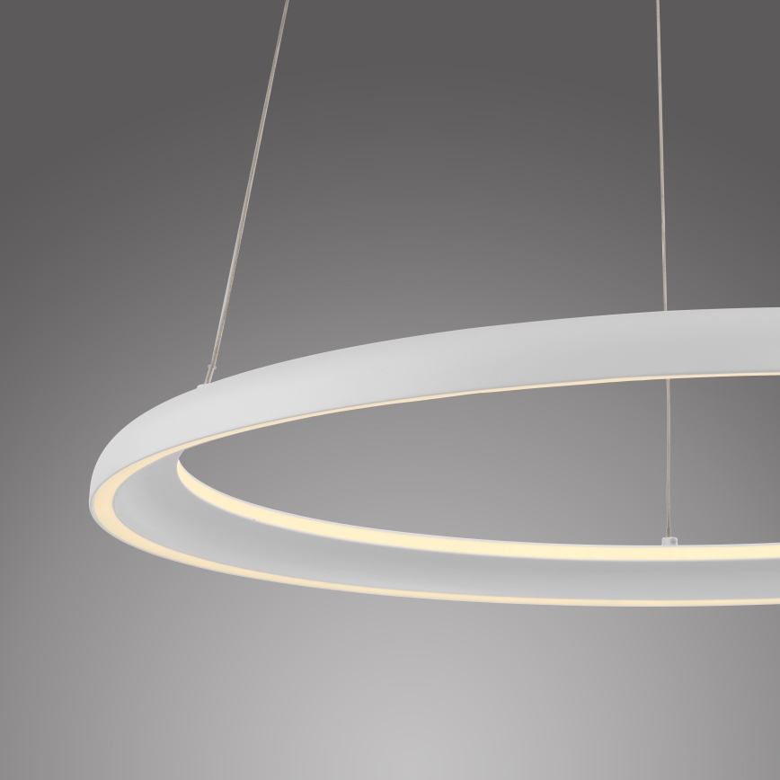 Schöner Wohnen 15570-16 - Suspension dimmable sur câble QUILLO LED/36W/230V Ø 60 cm blanche