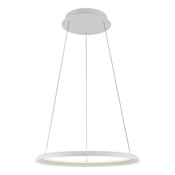 Schöner Wohnen 15570-16 - Suspension dimmable sur câble QUILLO LED/36W/230V Ø 60 cm blanche