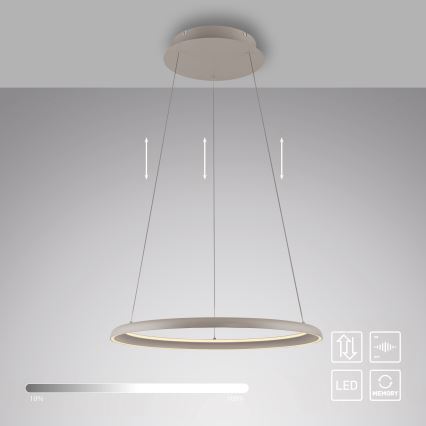 Schöner Wohnen 15570-39 - Dimbare LED-hanglamp aan kabel QUILLO LED/36W/230V, diameter 60 cm, grijs