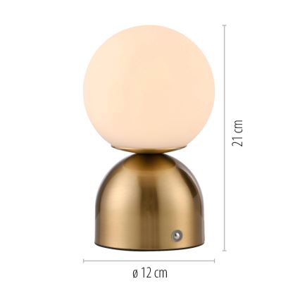 Schöner Wohnen 19218-12 - LED dimbare aanraak-oplaadbare tafellamp RUDI LED/1,2W/5V 3000-6000K 1200 mAh goudkleurig