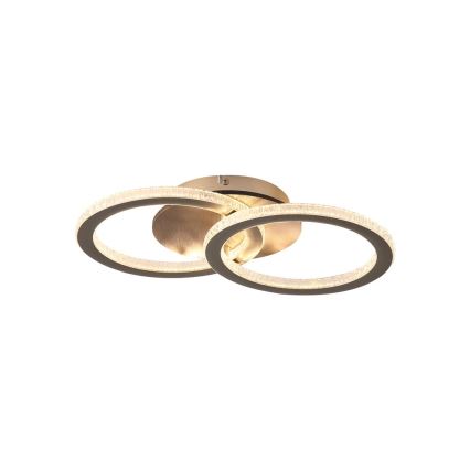 Searchlight - Plafonnier LED dimmable SPECS LED/24W/230V 3000K 25x42,5 cm