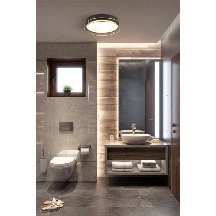 Searchlight - Plafonnier de salle de bain PHEONIX 2xE14/60W/230V d. 30 cm IP44