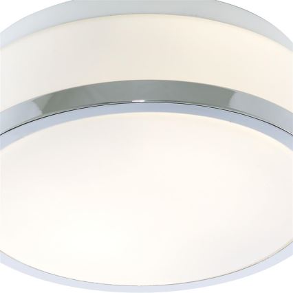 Searchlight - Badkamer plafondlamp DISC 1xE27/60W/230V IP44