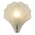 Searchlight - Applique murale SHELL 1xG9/7W/230V blanche