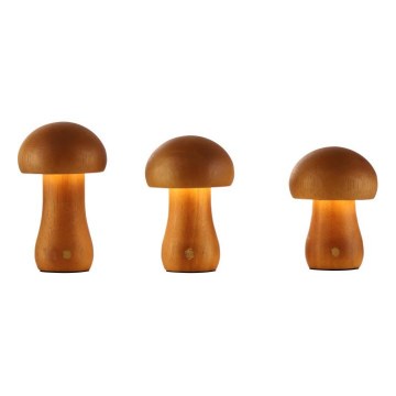 Searchlight - Lot de 3 lampes de table LED MUSHROOM LED/1,1W/5V 800 mAh