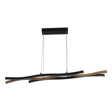 Searchlight - Suspension LED sur câble BLOOM LED/38W/230V 2300/3000/4000K