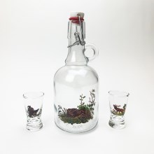 Set 1x glas bottle en 2x shotglas doorzichtig