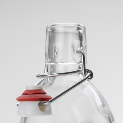 Set 1x glazen fles en 2x shotglas doorzichtig met een pruimenmotief