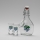 Set 1x grote fles + 2x shotglas doorzichtig met een pruimenmotief