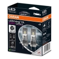 SET 2x LED Autolamp EASY GEN H7 PX26d/16W/12V 6500K - Osram