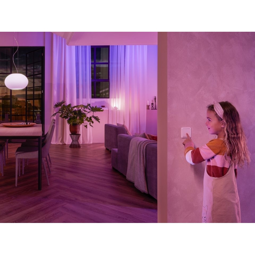 SET 2x Module d'interrupteur mural Philips Hue SWITCH