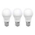 SET 3x LED Lamp ECOLINE A60 E27/10W/230V 4000K - Brilagi