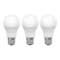 SET 3x LED Lamp ECOLINE A60 E27/15W/230V 4000K - Brilagi