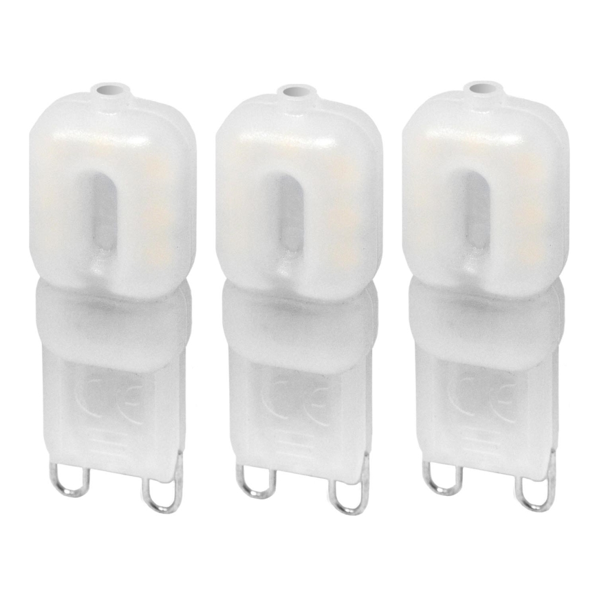 SET 3x LED Lamp ECOLINE G9/2,5W/230V 3000K - Brilagi