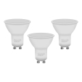 SET 3x LED Lamp ECOLINE GU10/6W/230V 4000K - Brilagi