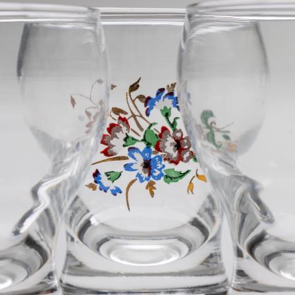 Set 6x likeur glas doorzichtig - bloemenpatroon nr. 4