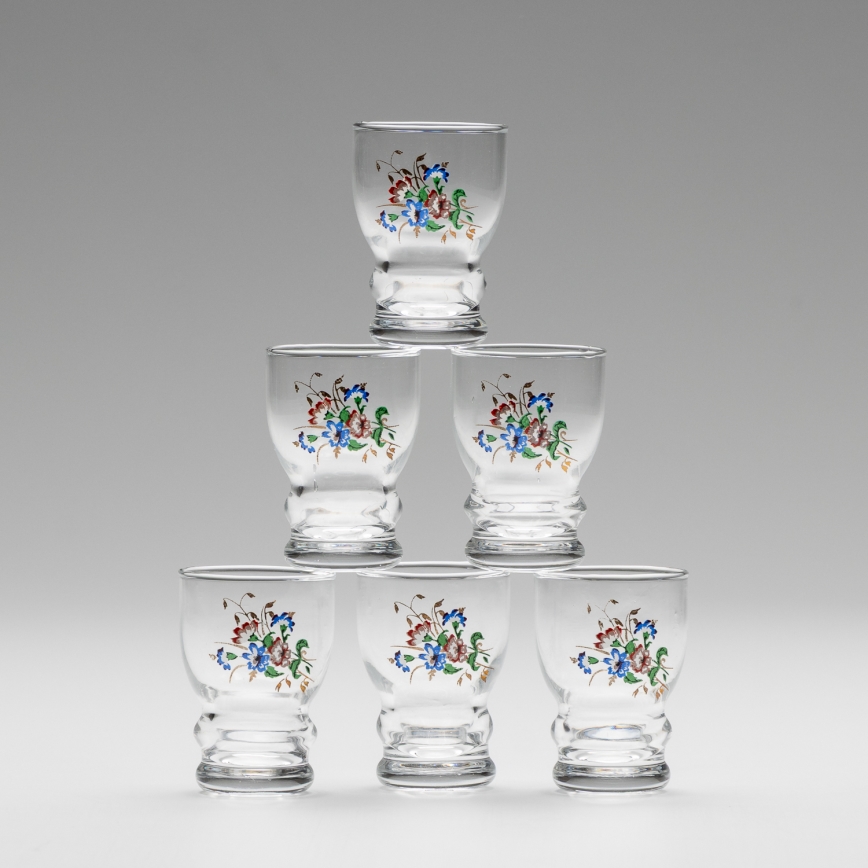 Set 6x likeur glas doorzichtig - bloemenpatroon Nr. 5
