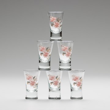 Set 6x likeur glas met een boeketmotief nr. 2