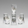 Set 6x shotglas doorzichtig met een boeketmotief nr. 3