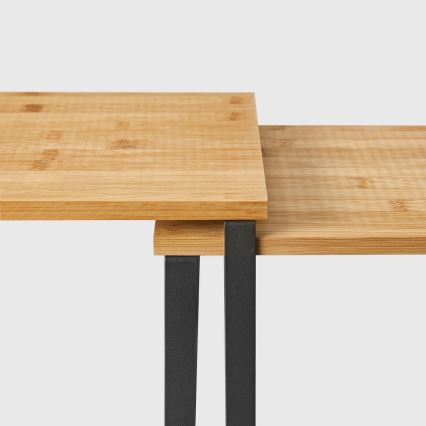 Set van 2 opbergplanken MARGE, zwart/bruin