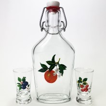 Set vector - 1x groot fles + 2x shotglas doorzichtig met fruitmotief