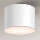 Shilo - Badkamer Plafond Lamp 1xGX53/15W/230V IP44 wit