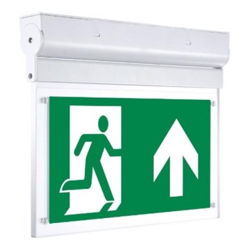 Sinclair - Bloc de secours NOPH LED/2W/230V IK06 vert
