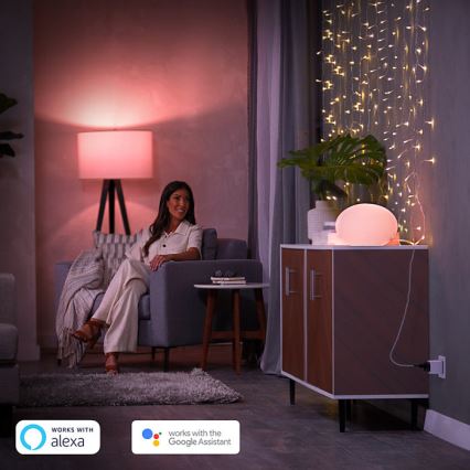 Slimme stekker Philips Smart plug BE/FR